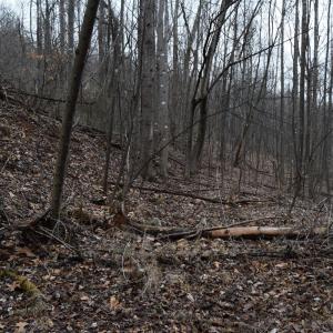 Photo #26 of Hickory Falls Road, Blue Ridge, VA 17.3 acres