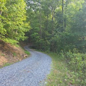 Photo #9 of Hickory Falls Road, Blue Ridge, VA 17.3 acres