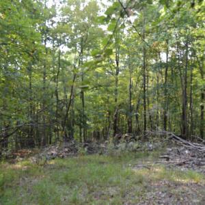 Photo #2 of Hickory Falls Road, Blue Ridge, VA 17.3 acres