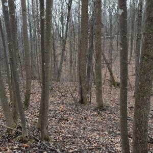 Photo #40 of Hickory Falls Road, Blue Ridge, VA 17.3 acres