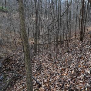 Photo #45 of Hickory Falls Road, Blue Ridge, VA 17.3 acres