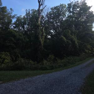 Photo #47 of Hickory Falls Road, Blue Ridge, VA 17.3 acres