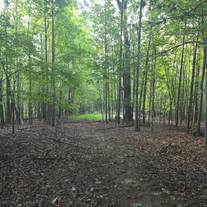 Photo #57 of Hickory Falls Road, Blue Ridge, VA 17.3 acres