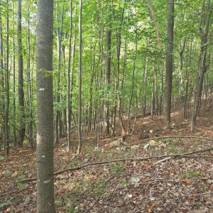 Photo #58 of Hickory Falls Road, Blue Ridge, VA 17.3 acres