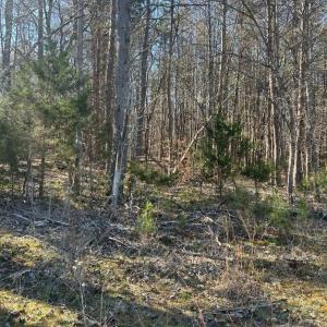 Photo #4 of Saber Court, Forest, VA 21.7 acres