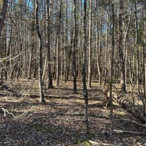 Photo #5 of Saber Court, Forest, VA 21.7 acres