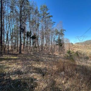 Photo #16 of Saber Court, Forest, VA 21.7 acres