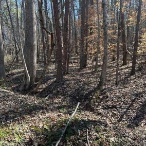 Photo #12 of Saber Court, Forest, VA 21.7 acres