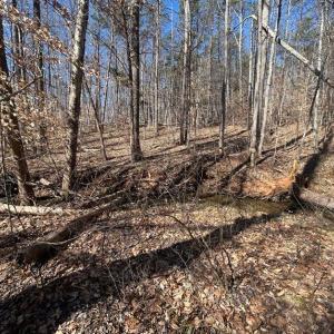 Photo #17 of Saber Court, Forest, VA 21.7 acres