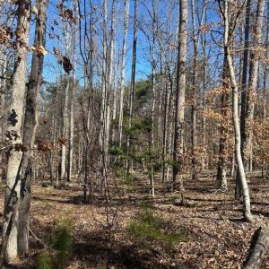 Photo #9 of Saber Court, Forest, VA 21.7 acres