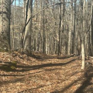 Photo #2 of Saber Court, Forest, VA 21.7 acres