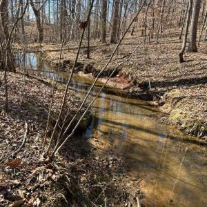 Photo #19 of Saber Court, Forest, VA 21.7 acres