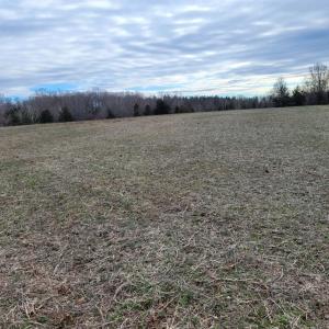 Photo #5 of 0 Maddox, Gladys, VA 25.0 acres