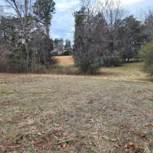 Photo #4 of 0 Maddox, Gladys, VA 25.0 acres