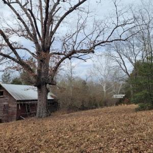 Photo #1 of 0 Maddox, Gladys, VA 25.0 acres