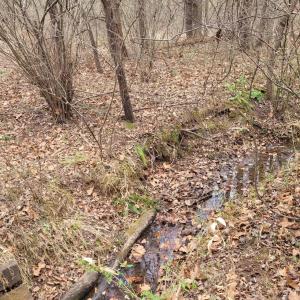 Photo #5 of 0 Maddox, Gladys, VA 25.0 acres