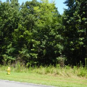 Photo #4 of Rothwood Road, Monroe, VA 7.5 acres