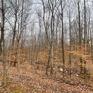 Photo #1 of Rothwood Road, Monroe, VA 7.5 acres