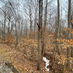 Photo #8 of Rothwood Road, Monroe, VA 7.5 acres
