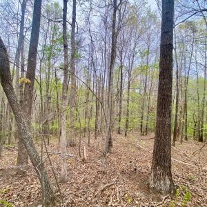 Photo #3 of Rothwood Road, Monroe, VA 7.5 acres
