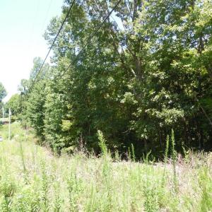 Photo #10 of Rothwood Road, Monroe, VA 7.5 acres