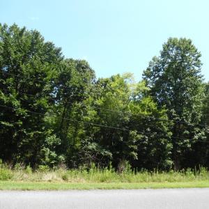 Photo #5 of Rothwood Road, Monroe, VA 7.5 acres