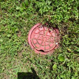 Photo #7 of Rothwood Road, Monroe, VA 7.5 acres