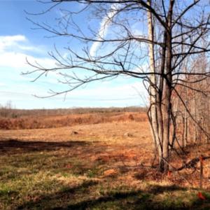 Photo #1 of 3 Buffalo Mill, Evington, VA 0.7 acres