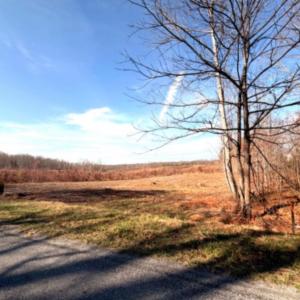 Photo #2 of 3 Buffalo Mill, Evington, VA 0.7 acres