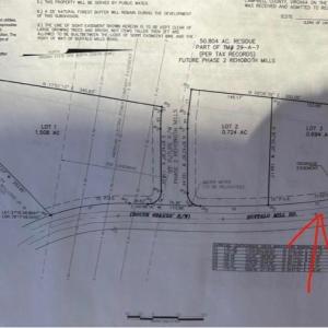 Photo #4 of 3 Buffalo Mill, Evington, VA 0.7 acres