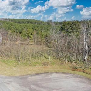 Photo #25 of Lot 22 Jeramiah Run, Lynch Station, VA 0.6 acres