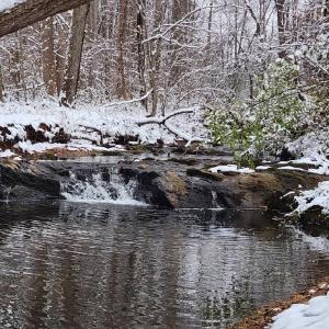 Photo #7 of Soybean Drive, Appomattox, VA 4.6 acres