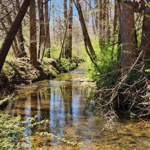 Photo #5 of Soybean Drive, Appomattox, VA 4.6 acres