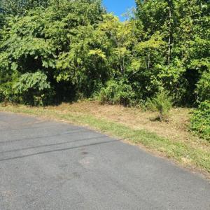 Photo #2 of Soybean Drive, Appomattox, VA 4.6 acres