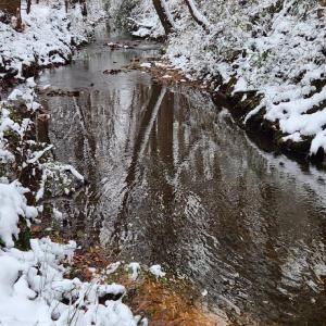 Photo #8 of Soybean Drive, Appomattox, VA 4.6 acres