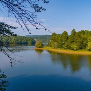 Photo #16 of 5 Trellis Ridge Dr, Lynch Station, VA 0.6 acres