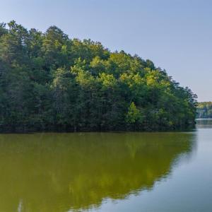 Photo #14 of 5 Trellis Ridge Dr, Lynch Station, VA 0.6 acres