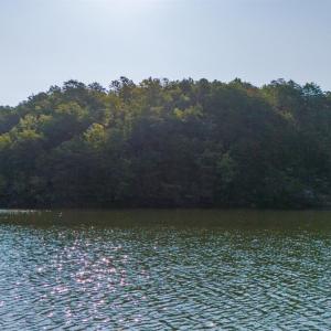 Photo #12 of 5 Trellis Ridge Dr, Lynch Station, VA 0.6 acres