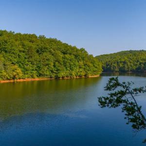 Photo #17 of 5 Trellis Ridge Dr, Lynch Station, VA 0.6 acres