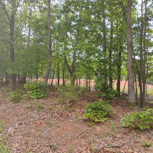 Photo #2 of EASOME Road, Hurt, VA 5.5 acres