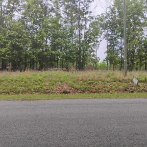 Photo #10 of EASOME Road, Hurt, VA 5.5 acres