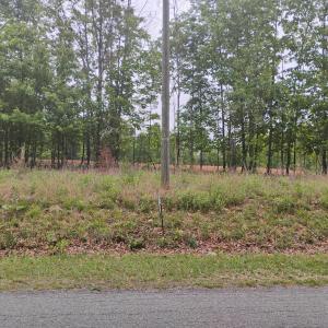 Photo #11 of EASOME Road, Hurt, VA 5.5 acres