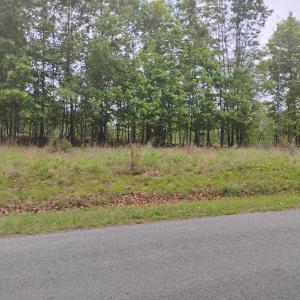 Photo #9 of EASOME Road, Hurt, VA 5.5 acres