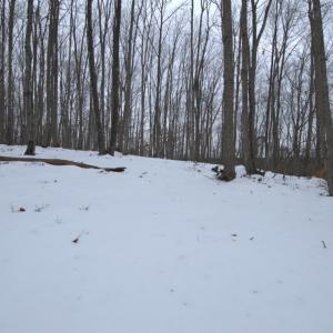 Photo #11 of 6 Lime Plant Road, Appomattox, VA 16.7 acres