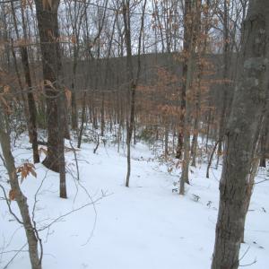 Photo #10 of 6 Lime Plant Road, Appomattox, VA 16.7 acres