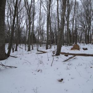 Photo #12 of 6 Lime Plant Road, Appomattox, VA 16.7 acres