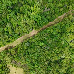 Photo #3 of Nelmonte Ln, Arrington, VA 4.9 acres