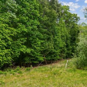 Photo #15 of Nelmonte Ln, Arrington, VA 4.9 acres