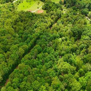 Photo #5 of Nelmonte Ln, Arrington, VA 4.9 acres