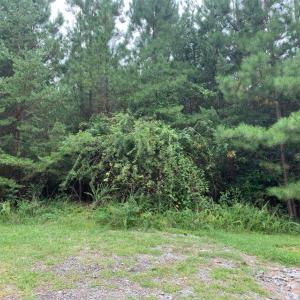 Photo #18 of Lot 284 Waterway CT, Lynch Station, VA 0.8 acres